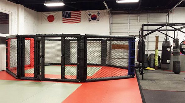 MMA Cage and Bags